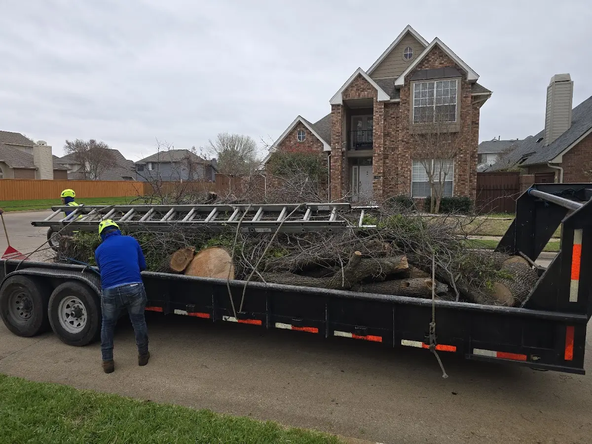 Expert Lot Clearing with proper safety equipment in Burson